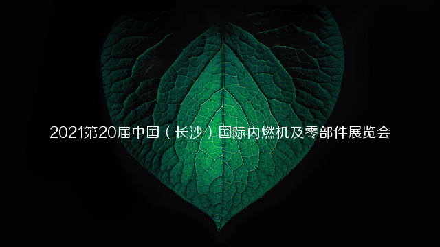2021第20届中国（长沙）国际内燃机及零部件展览会